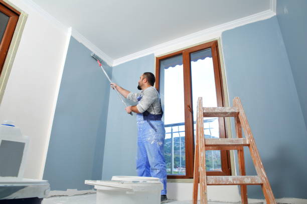 Reliable Lino Lakes, MN Dry wall and painting Solutions